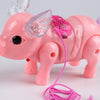 Electric Walking Singing Pig Toy