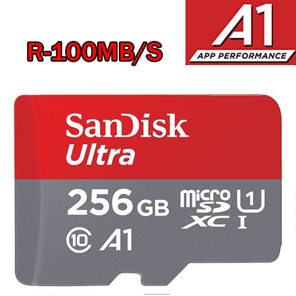 SanDisk TF / Micro Memory Card