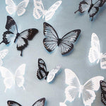 Crystal Butterflies Wall Sticker