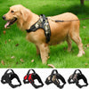 Heavy Duty Nylon Dog Harness