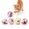 Cat Interactive Stick Feather Toys