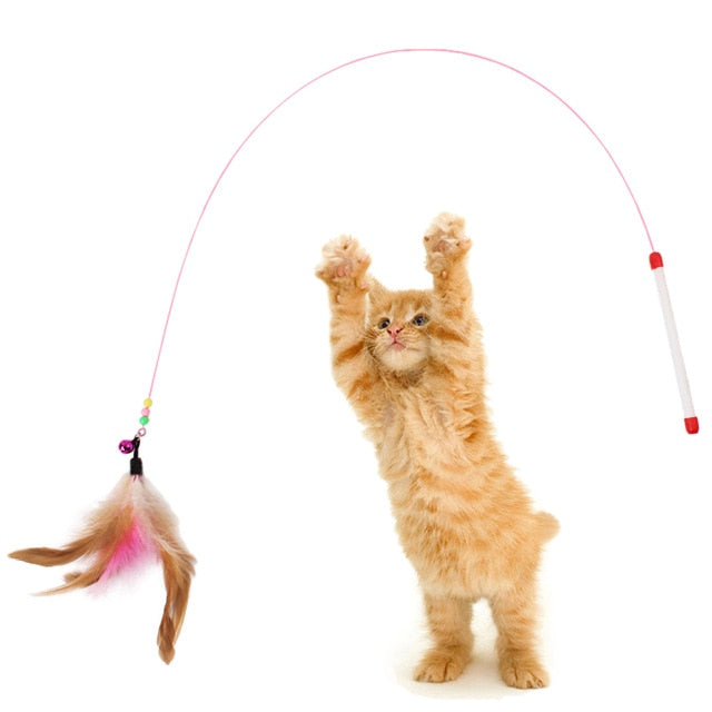 Cat Interactive Stick Feather Toys